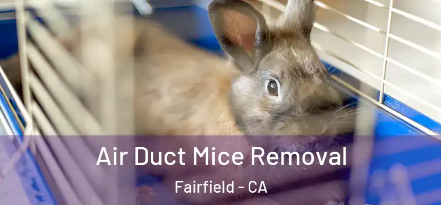 Air Duct Mice Removal Fairfield - CA