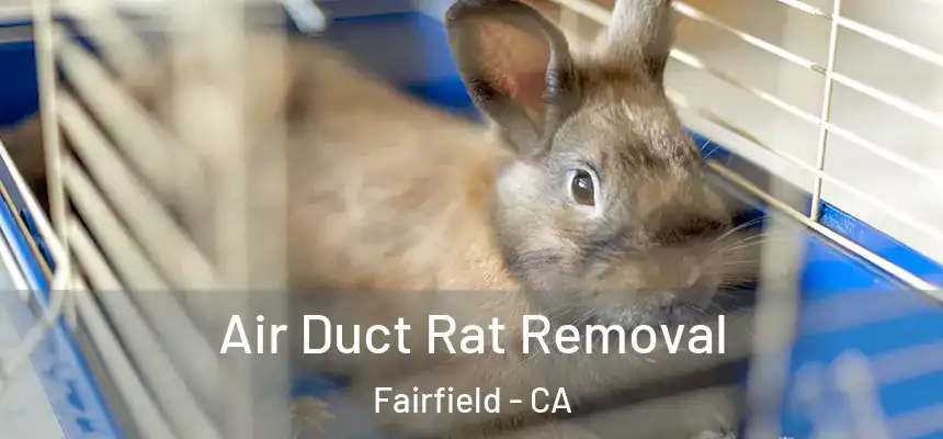 Air Duct Rat Removal Fairfield - CA