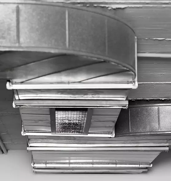 Professional Air Duct Pest Removal in Fairfield, CA