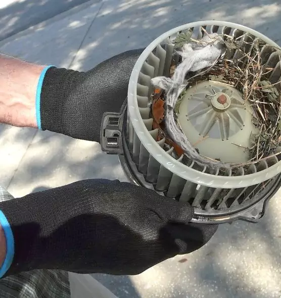 About Air Duct Rat Removal in Fairfield, CA