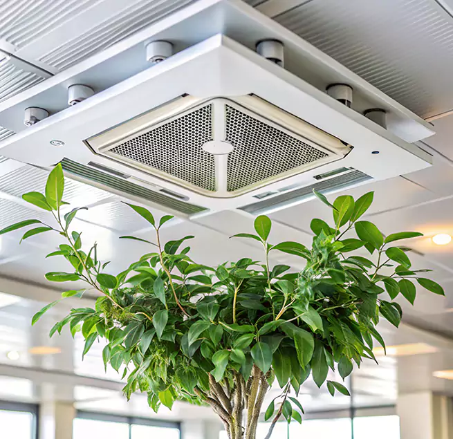 Why Homeowners & Businesses Trust Us in Fairfield, CA?